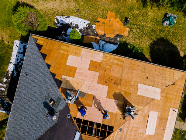 Best Roof Restoration Services  in Big Timber, MT